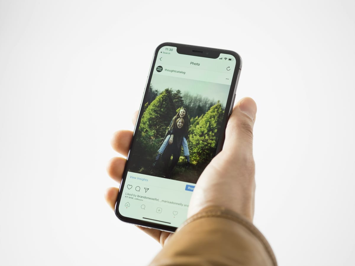 A hand holding a phone showing a photo
